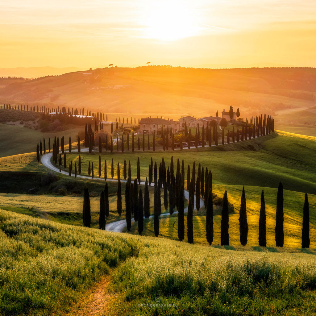 Tuscan landscape, a villa in the distance, a road and cypress tress leading to the villa.