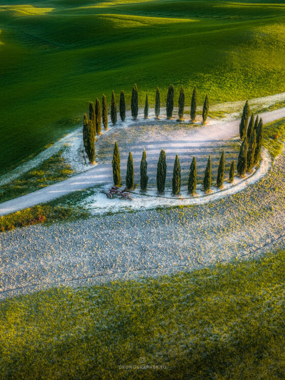 Cypress trees forming a circle, with a road going through the circle.