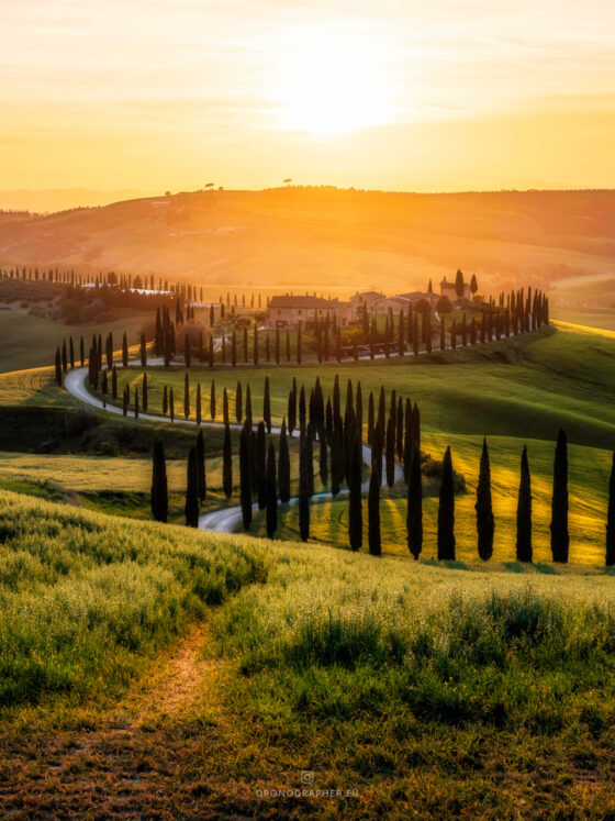 Tuscan landscape during sunset, a road and cypress trees leading to a villa in the distance.
