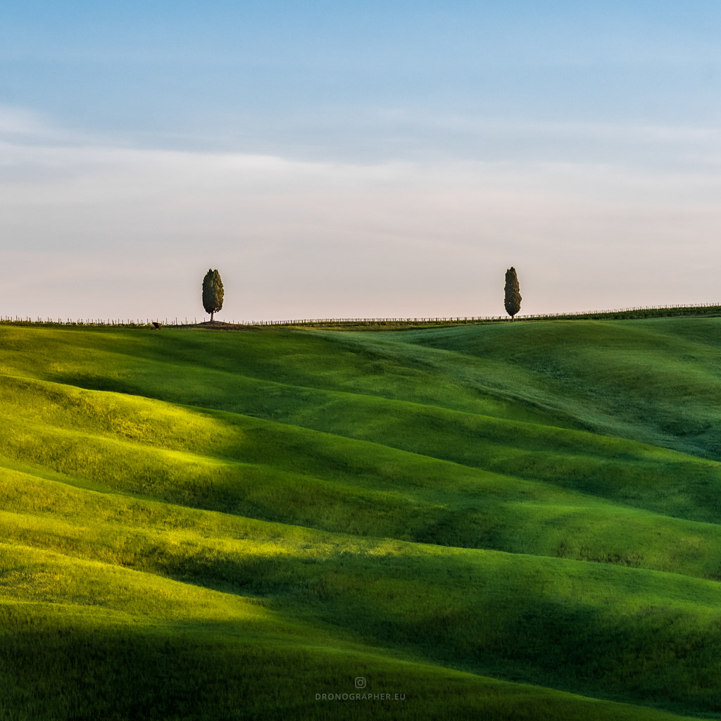 Wavy grass landscape in Tuscany, with 2 single trees in the far.