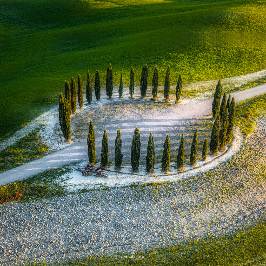 Cypress trees forming a circle, with a road going through the circle.